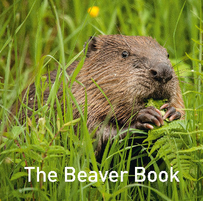Clawr llyfr / Book cover: Nature Book Series: The Beaver Book
