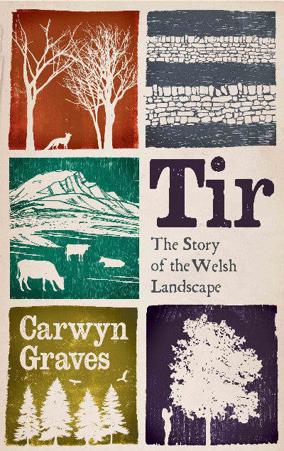 Clawr llyfr / Book cover: Tir - The Story of the Welsh Landscape — The Story of the Welsh Landscape