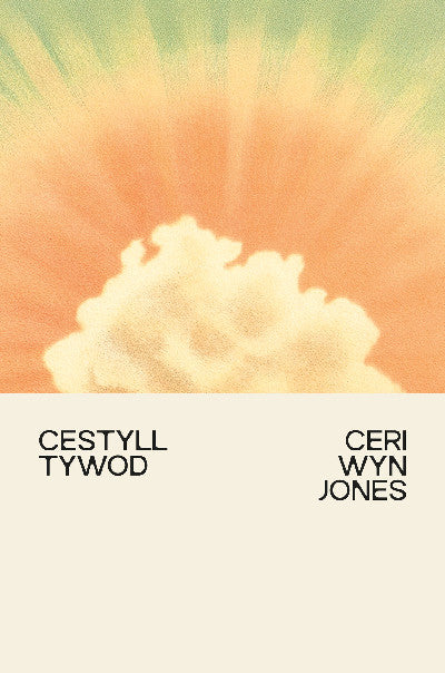 Clawr llyfr / Book cover: Cestyll Tywod