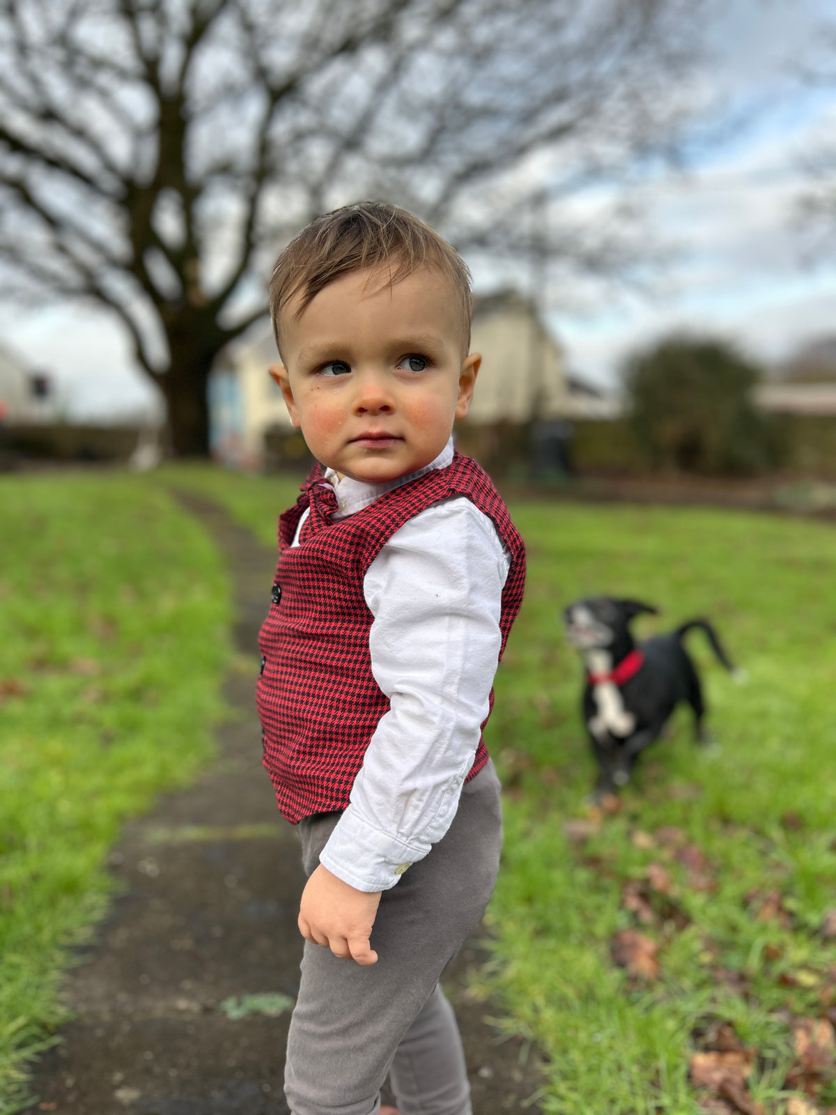 Gwasgod Dydd Gwyl Dewi - Siop Y Pentan