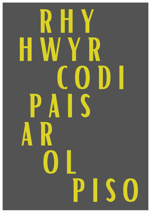 Penblwydd Hapus Doniol | Cardiau Myrddin - Siop Y Pentan