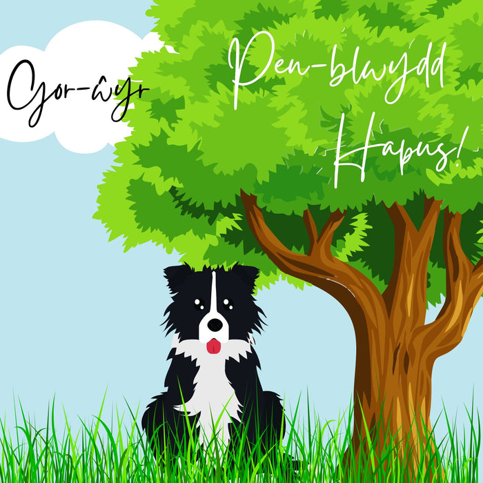 Penblwydd Hapus Gor-wyr | Cardiau.Cymru - Siop Y Pentan
