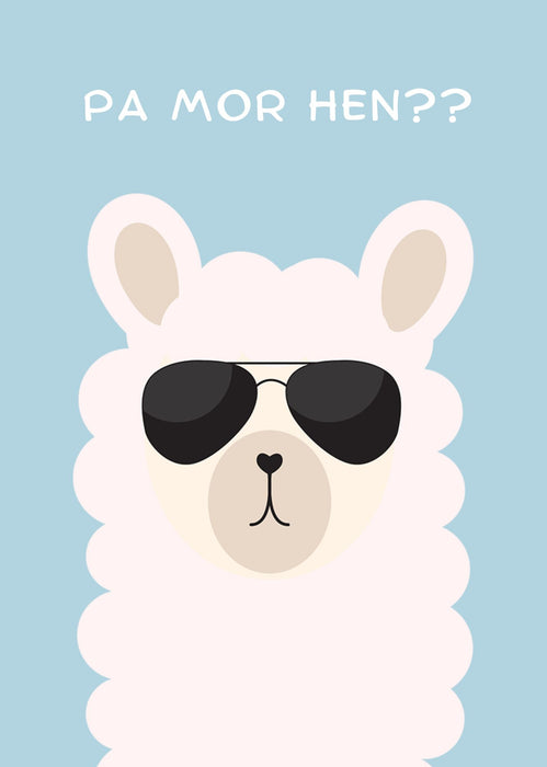 Penblwydd Hapus - Pa mor hen?? | Cardiau Myrddin - Siop Y Pentan