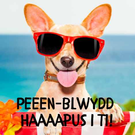 Penblwydd Hapus | Cardiau.Cymru - Siop Y Pentan