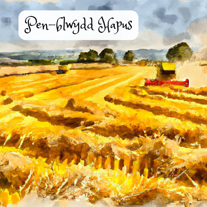 Pen-blwydd Hapus | Cardiau.Cymru - Siop Y Pentan
