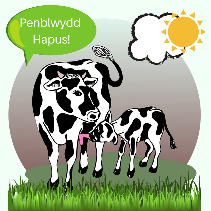 Penblwydd Hapus | Cardiau.Cymru - Siop Y Pentan