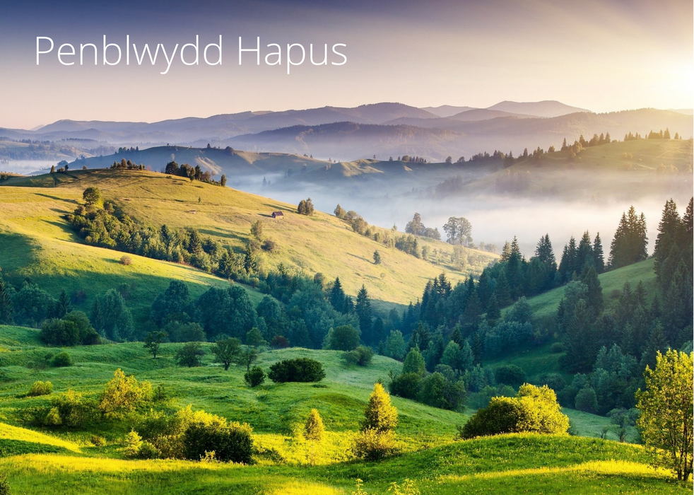 Penblwydd Hapus | Cardiau Myrddin - Siop Y Pentan