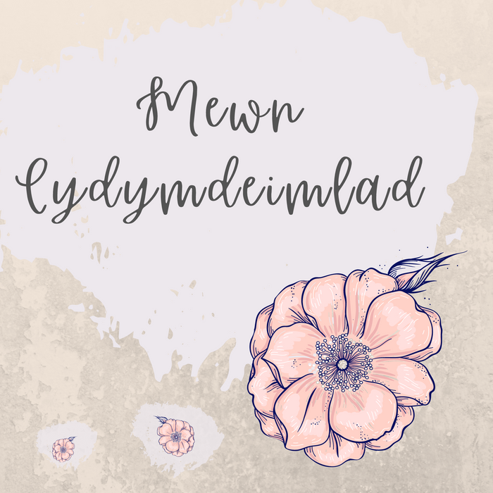 Mewn Cydymdeimlad | Cardiau Myrddin - Siop Y Pentan