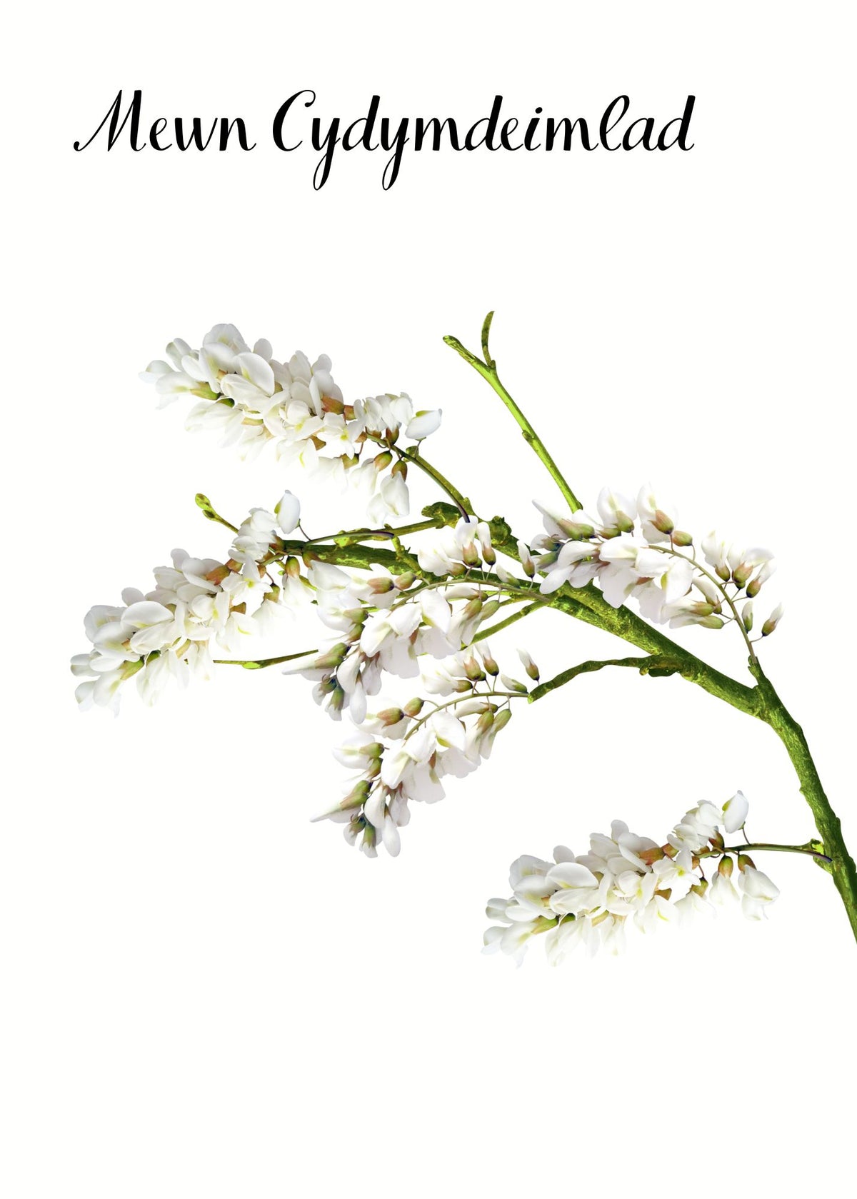 Mewn Cydymdeimlad | Cardiau.Cymru - Siop Y Pentan