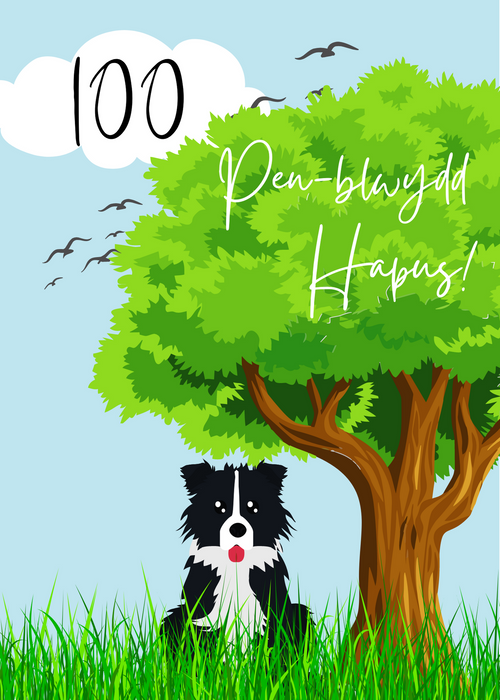Penblwydd Hapus 100 | Cardiau.Cymru - Siop Y Pentan