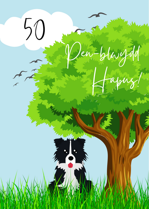 Penblwydd Hapus 50 | Cardiau.Cymru - Siop Y Pentan