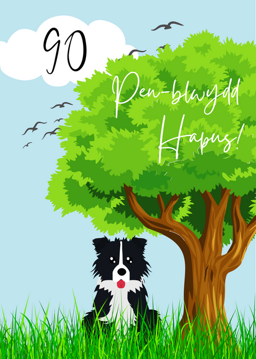 Penblwydd Hapus 90 | Cardiau.Cymru - Siop Y Pentan