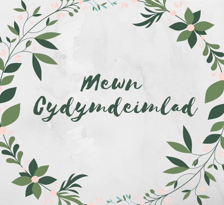Mewn Cydymdeimlad | Cardiau.Cymru - Siop Y Pentan