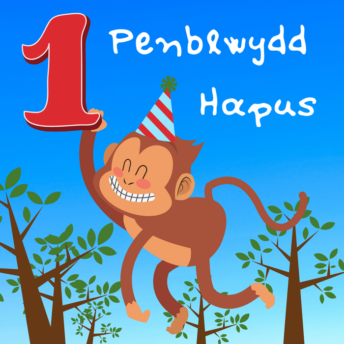 Penblwydd Hapus 1 | Cardiau.Cymru - Siop Y Pentan