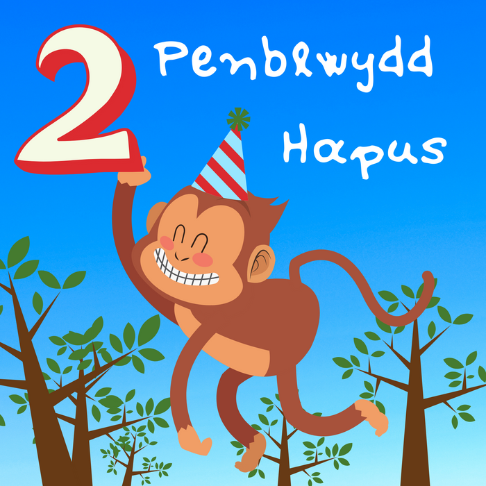 Penblwydd Hapus 2 | Cardiau.Cymru - Siop Y Pentan
