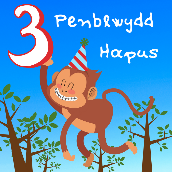 Penblwydd Hapus 3 | Cardiau.Cymru - Siop Y Pentan