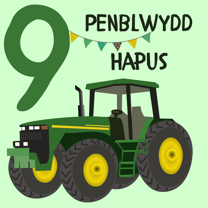 Penblwydd Hapus 9 | Cardiau.Cymru - Siop Y Pentan