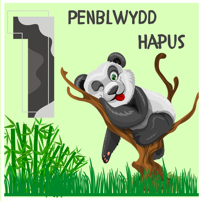 Penblwydd Hapus 1 | Cardiau.Cymru - Siop Y Pentan