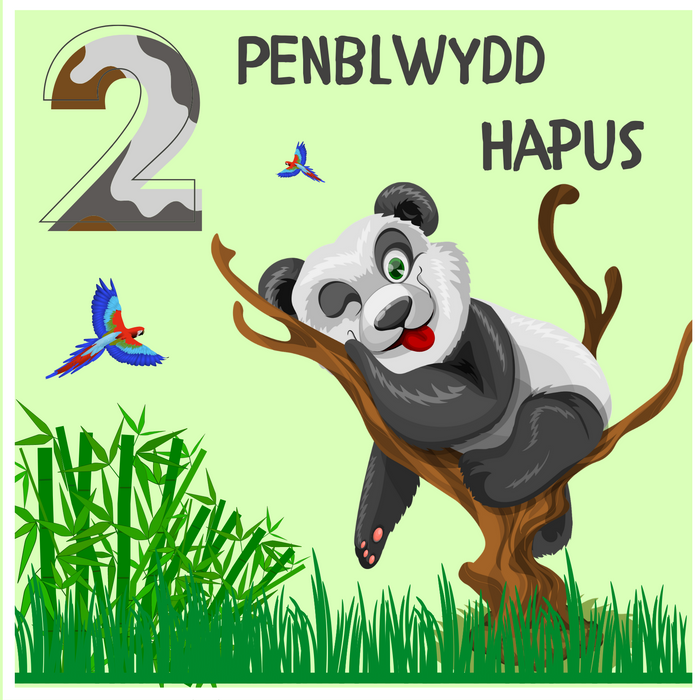 Penblwydd Hapus 2 | Cardiau.Cymru - Siop Y Pentan