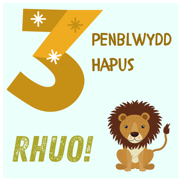 Penblwydd Hapus 3 | Cardiau.Cymru - Siop Y Pentan