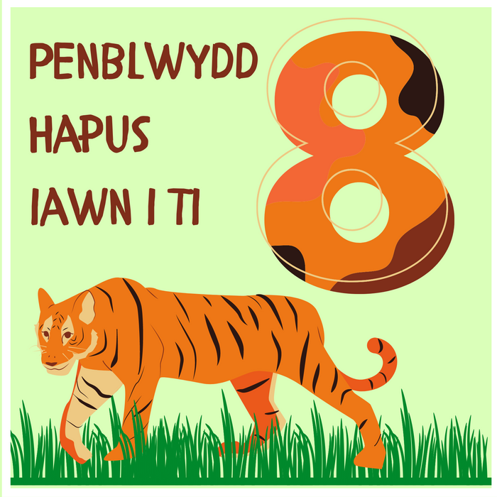 Penblwydd Hapus 8 | Cardiau.Cymru - Siop Y Pentan