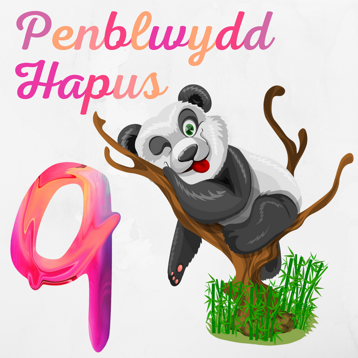 Penblwydd Hapus 9 | Cardiau.Cymru - Siop Y Pentan