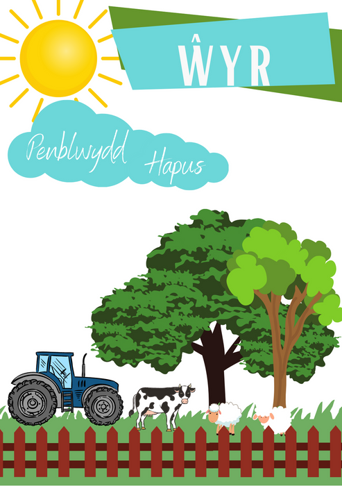 Penblwydd Hapus Wyr | Cardiau.Cymru - Siop Y Pentan