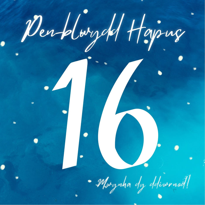 Penblwydd Hapus 16 | Cardiau.Cymru - Siop Y Pentan