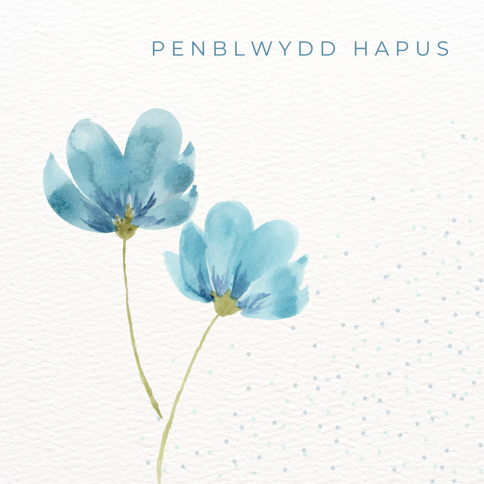 Penblwydd Hapus | Cardiau.Cymru