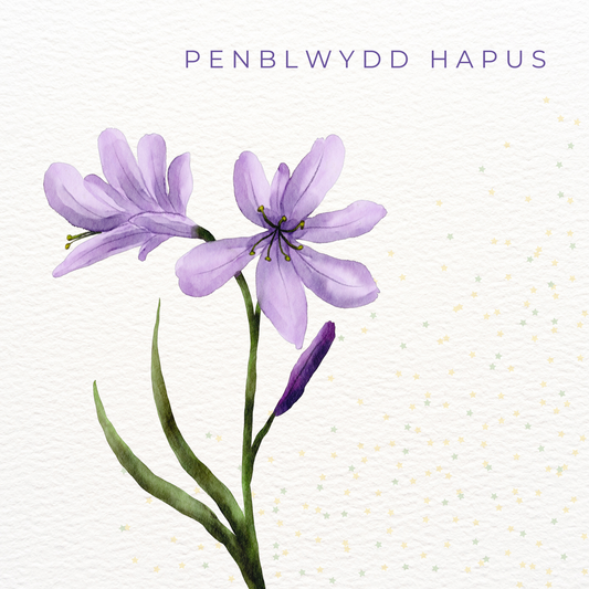 Penblwydd Hapus | Cardiau.Cymru - Siop Y Pentan
