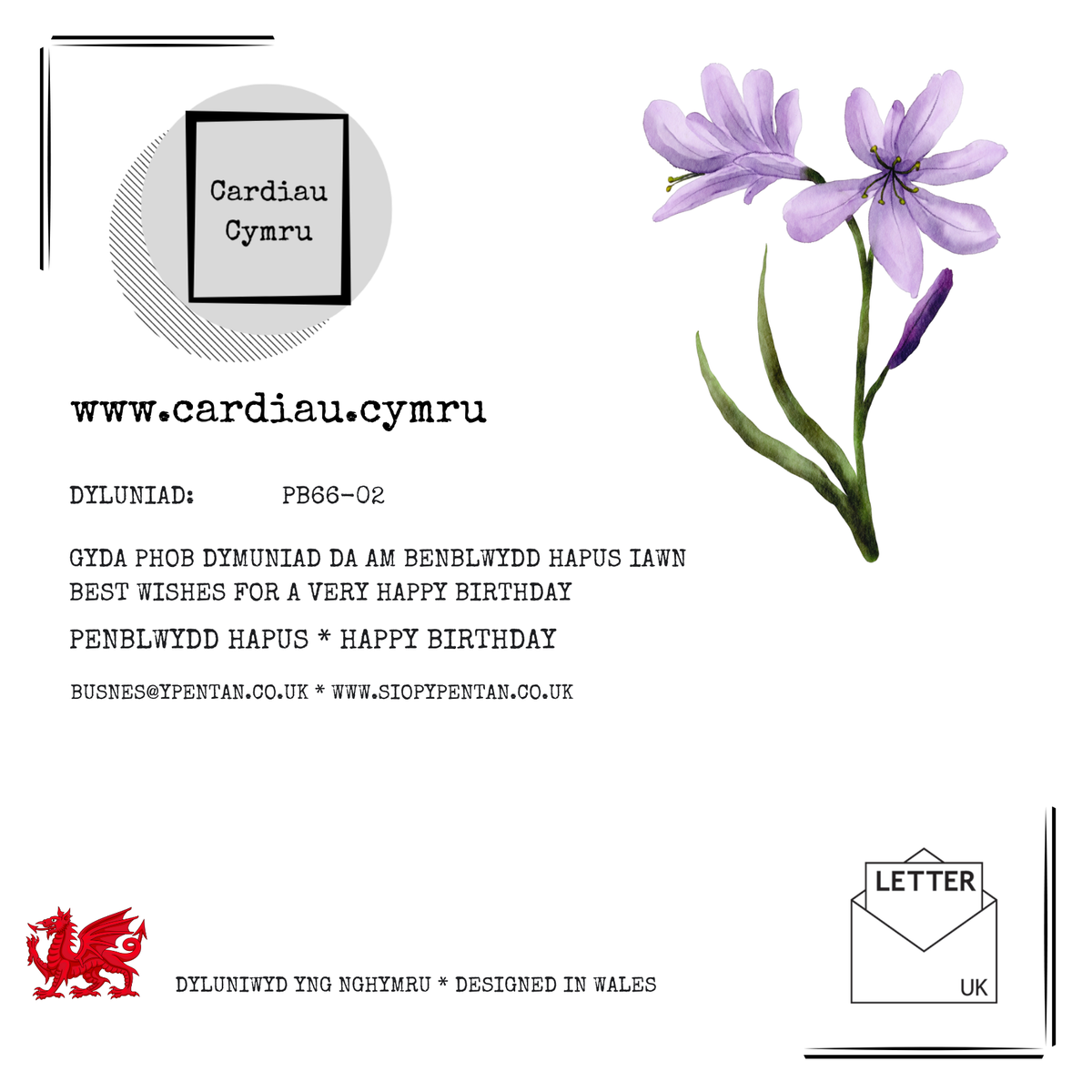Penblwydd Hapus | Cardiau.Cymru - Siop Y Pentan
