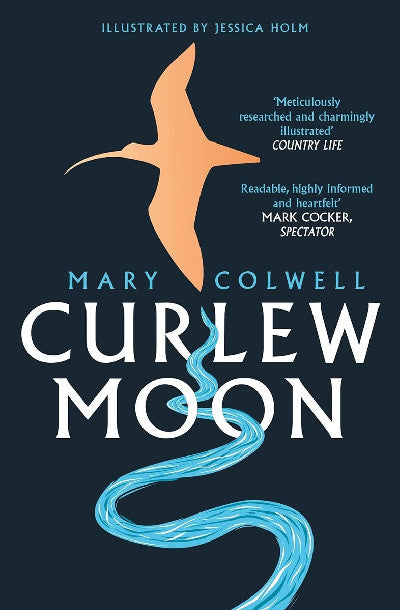 Clawr llyfr / Book cover: Curlew Moon