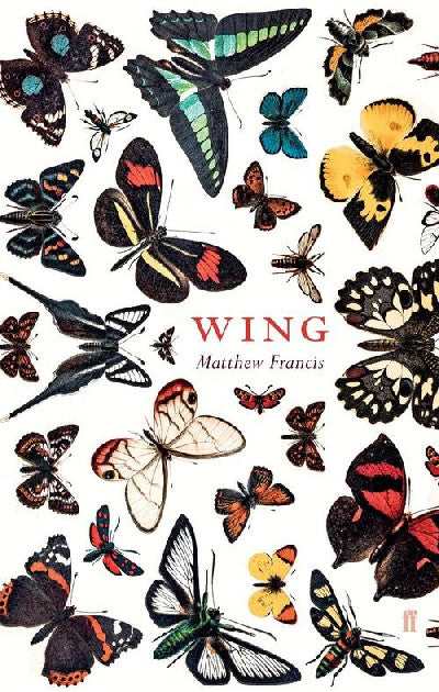 Clawr llyfr / Book cover: Wing