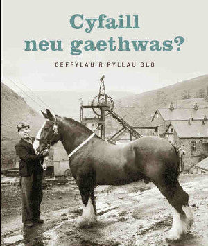 Cyfaill Neu Gaethwas? – Ceffylau'r Pyllau Glo
