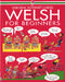 Usborne Language Guides: Welsh for Beginners