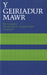 Geiriadur Mawr, Y