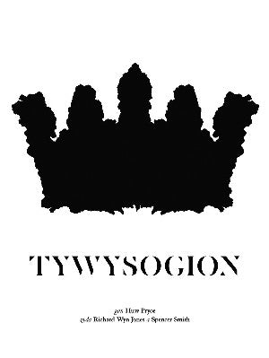 Tywysogion