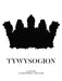 Tywysogion