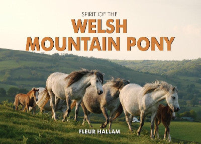 Clawr llyfr / Book cover: Spirit of the Welsh Mountain Pony