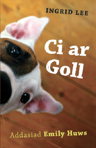 Clawr llyfr / Book cover: Ci ar Goll