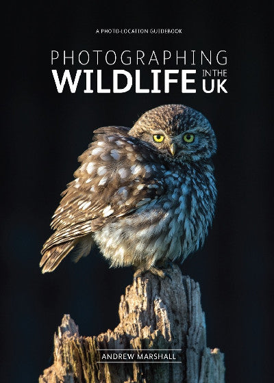 Clawr llyfr / Book cover: Photographing Wildlife in the UK