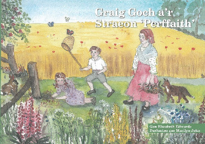 Clawr llyfr / Book cover: Graig Goch a'r Straeon 'Perffaith'