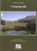 Hen Lyfr Bach: Bugeilgerddi, Y