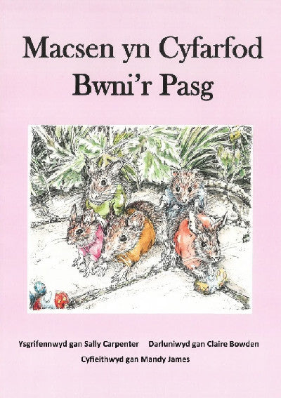 Clawr llyfr / Book cover: Macsen yn Cyfarfod Bwni'r Pasg