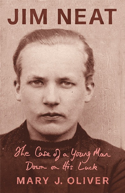 Clawr llyfr / Book cover: Jim Neat - The Case of a Young Man Down on his Luck — The Case of a Young Man Down on his Luck