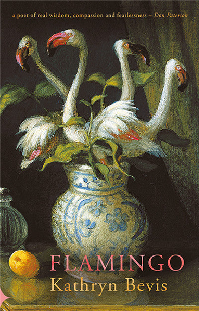 Clawr llyfr / Book cover: Flamingo