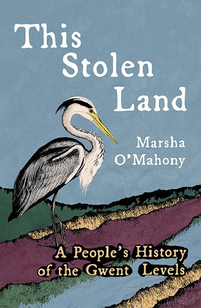 Clawr llyfr / Book cover: This Stolen Land - A People's History of the Gwent Levels — A People's History of the Gwent Levels