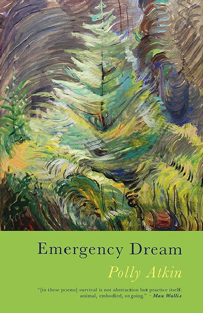 Clawr llyfr / Book cover: Emergency Dream