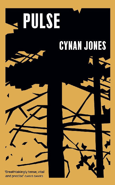 Clawr llyfr / Book cover: Pulse