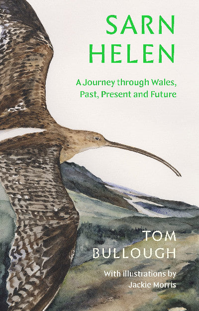Clawr llyfr / Book cover: Sarn Helen: A Journey Through Wales, Past, Present and Future